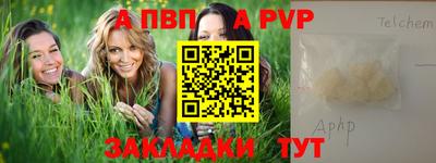 прущие грибы Гатчина