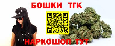 прущие грибы Гатчина