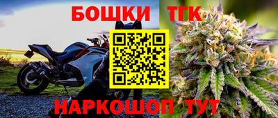 прущие грибы Гатчина