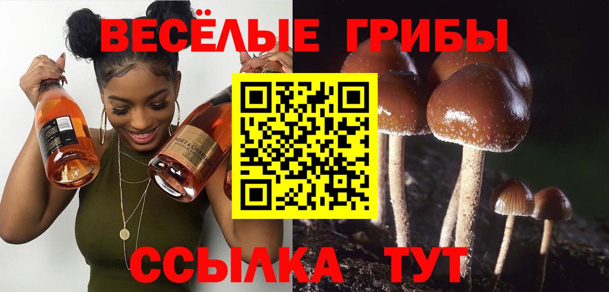 Мариинск  Галлюциногенные грибы прущие грибы  Галлюциногенные грибы MAGIC MUSHROOMS  Вход с VPN 